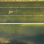 Feriendorf Rosental Apartments Feistritz im Rosental