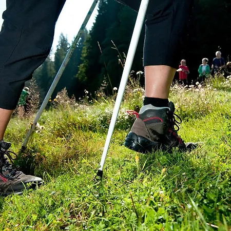 Feriendorf Rosental - Selbstversorger Appartements 4*