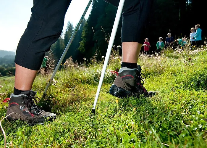 Feriendorf Rosental Apartments 4*